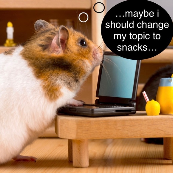 WE ARE DISTRACTED! - Picture 3 of 5